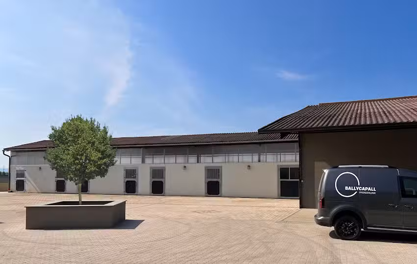 Ballycapall Pferdeklinik