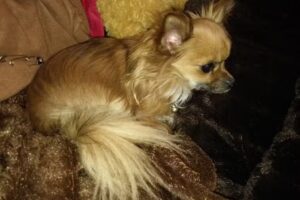 Csarman Dr Irmgard u Mag Christian