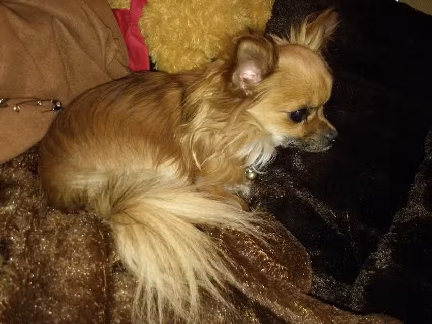 Csarman Dr Irmgard u Mag Christian