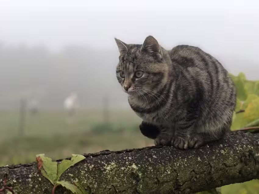 Dipl.TA Christoph Haller