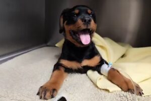 Dipl-TA Dr. Georg Schweighofer