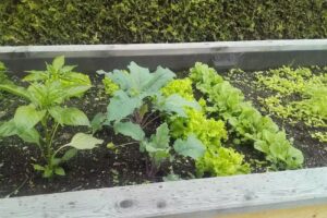 Dipl-TA Dr. Josef Flath