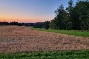 Dipl-TA Dr Klaus Truschner