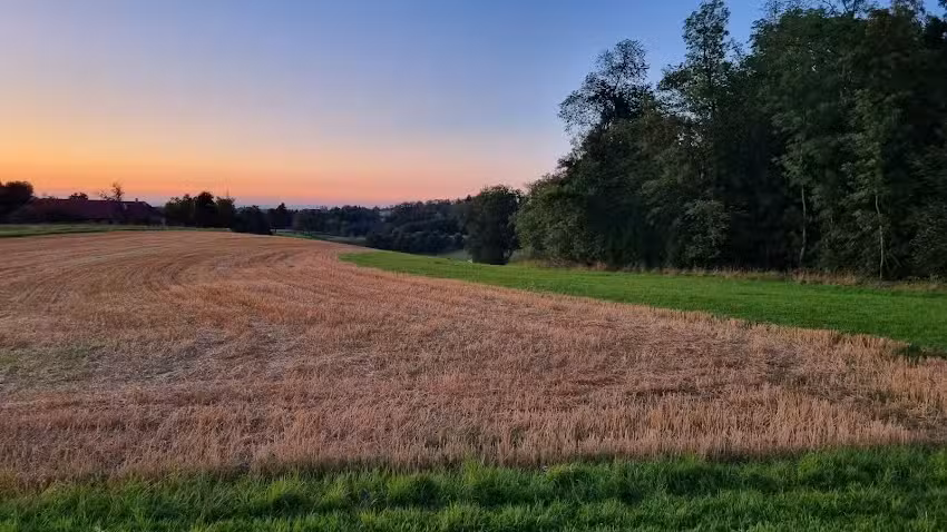 Dipl-TA Dr Klaus Truschner