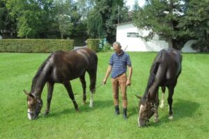 Dipl-TA Dr. Martin Fischer