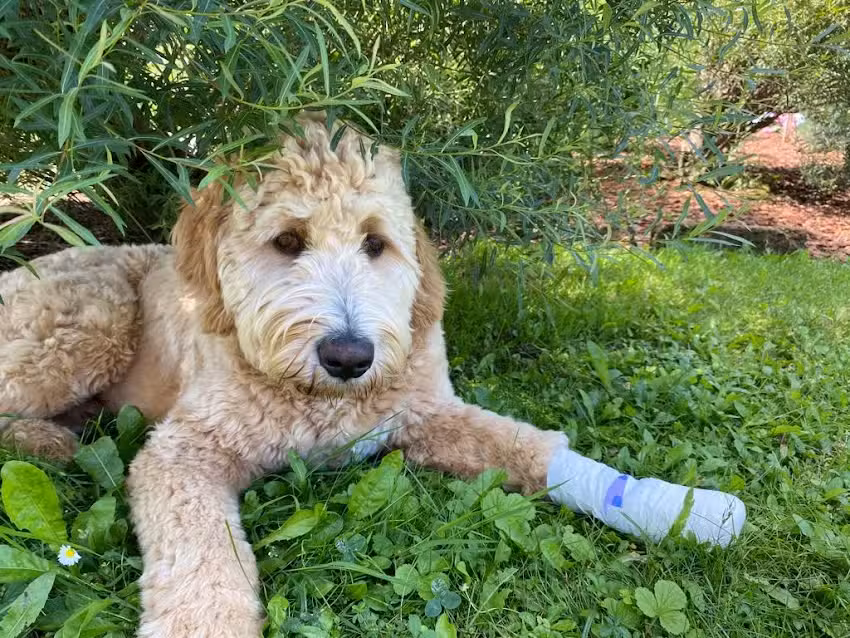 Dipl-TA Dr. Michaela-Maria Thonhauser (nur nach telefonischer Voranmeldung)