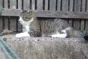 Dipl-TA Dr. Peter Kastlunger