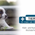 Dipl-TA Dr Walter Taxer