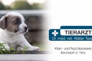 Dipl-TA Dr Walter Taxer