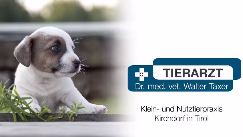 Dipl-TA Dr Walter Taxer