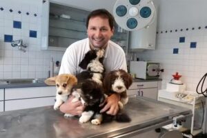 Dipl-TA Dr. Wilhelm Baldasti