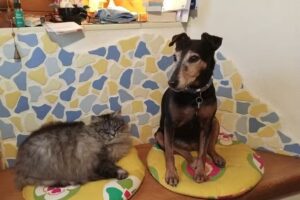 Dipl-TA Dr. Wolfgang Tritt