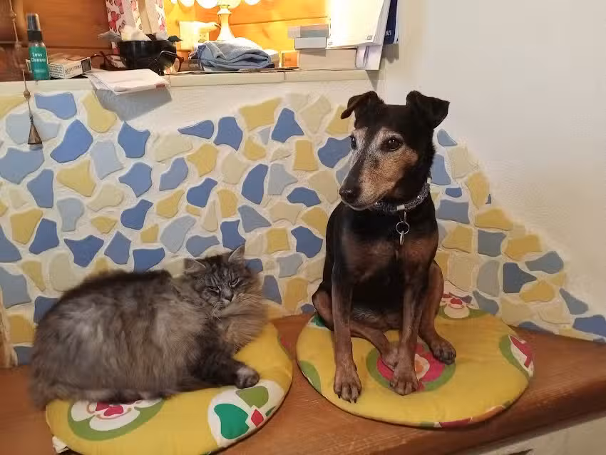 Dipl-TA Dr. Wolfgang Tritt