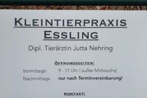 Dipl-TA Jutta Nehring