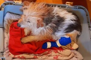 Dipl-TA Mag. Bernd Hradecky