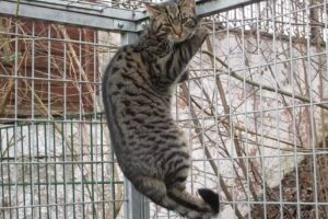 Dipl-TA Mag. Margit Faffelberger