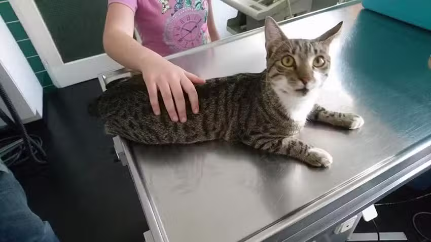 Dipl-TA Mag. Stefan Burger