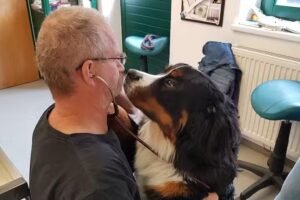 Dipl-TA Michael Kraft