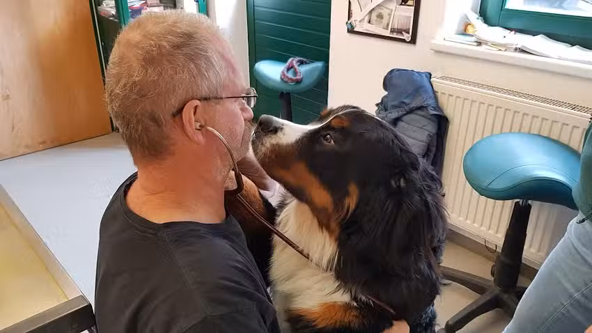 Dipl-TA Michael Kraft