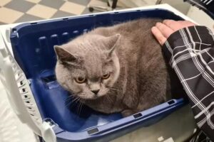 Dipl-TA Thomas Jirschik