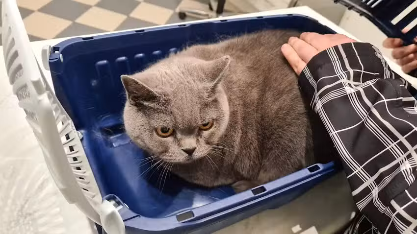 Dipl-TA Thomas Jirschik