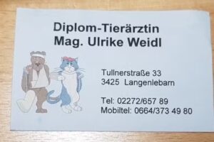 Dipl-TA Ulrike Weidl