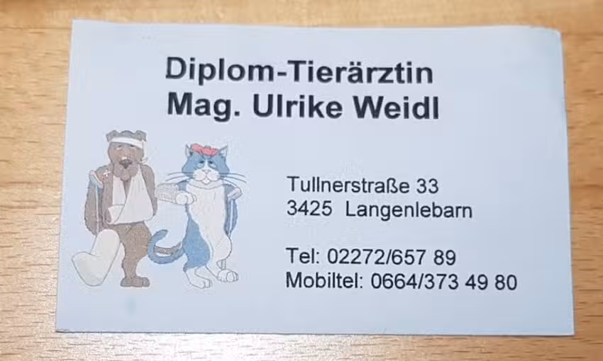 Dipl-TA Ulrike Weidl