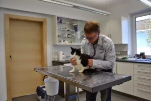 Dipl.- Tierarzt Christian Gschwendtner