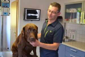 Dipl. Tierarzt Robert Schatzlmair