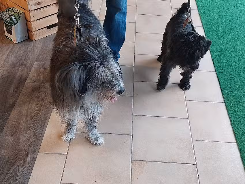 Dipl. Tierarzt Thomas Worsch