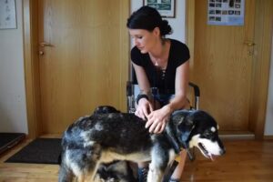 Dipl. Tzt. Hartwig Urbanke