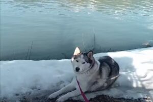 Dr. Bernhard Steiner