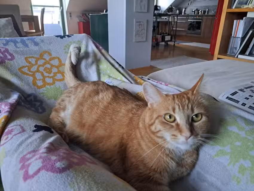 Dr. Christian Kušej