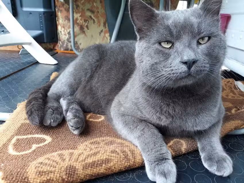 Dr. Franz Scheuchenpflug