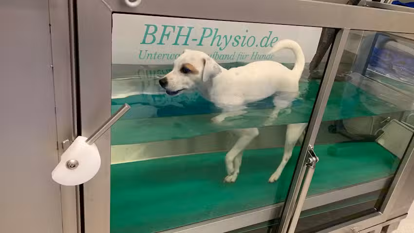 Dr. Gabriele Hofmann