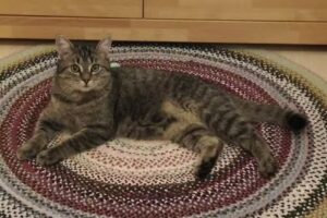 Dr. Gottfried Granig