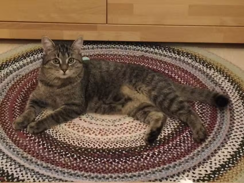 Dr. Gottfried Granig