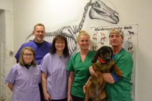 Dr. Matthias Brandstätter