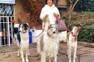 Dr. med. vet. Natalie Franiek-Krijt