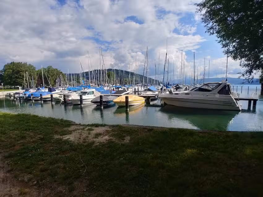 Dr. Sabine Schönlieb