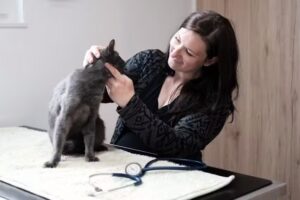 Ganzheitliche Tiermedizin Chiropraktik für Pferde und Hunde Mag. Nina Lux-Samwald