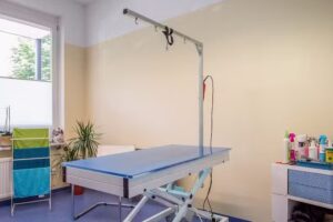 Hundesalon Brigantium