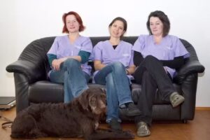 Kleintierpraxis-Alkoven Dr. Birgit Seitlinger