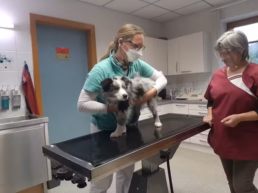 Kleintierpraxis Dr. Schoder