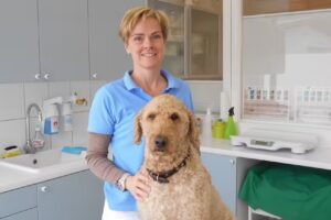 Kleintierpraxis Gnigl