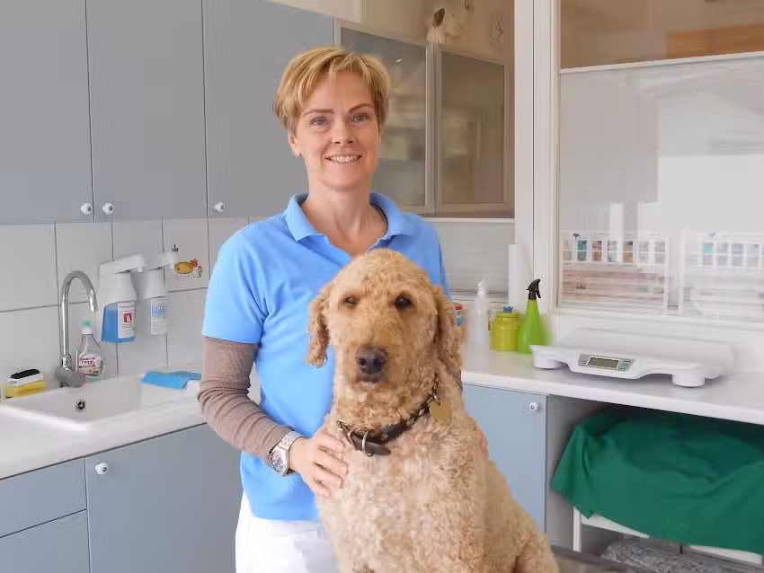 Kleintierpraxis Gnigl