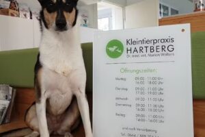 Kleintierpraxis Hartberg
