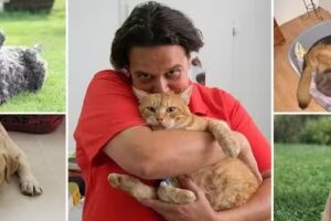 Kleintierpraxis Mag. Angelika Putzenbacher