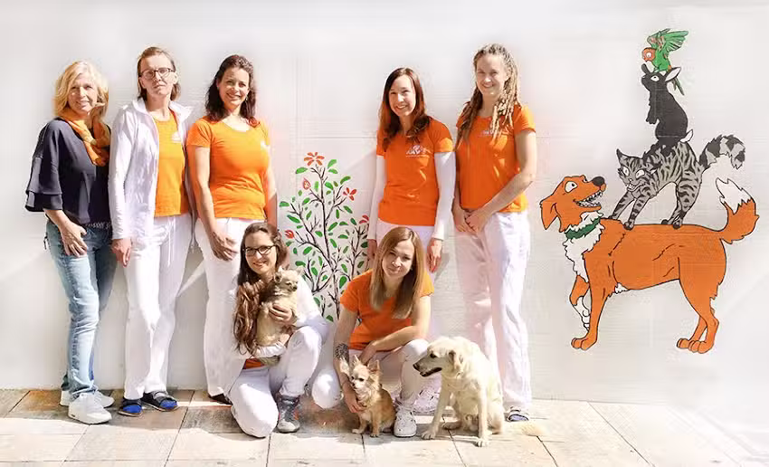 Kleintierpraxis Seiersberg – Diplom Tierarzt Andrea Irina Joch