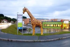 Kleintierzentrum Graz Süd – Der familienfreundliche Tierarzt